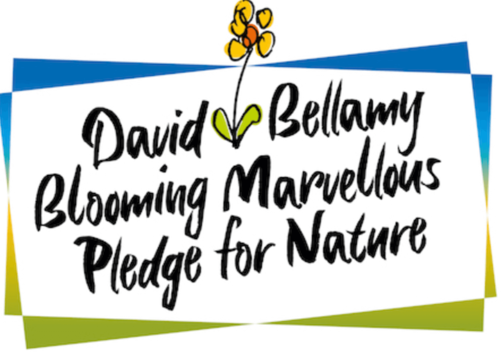 David Bellamy Pledge 2021